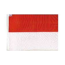 BANDERA CANTA